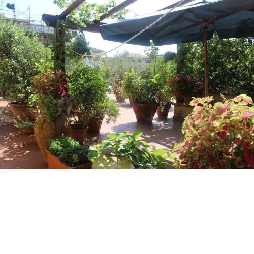 La Terrazza da Ernestina