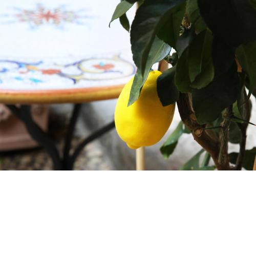 La Terrazza dei Limoni
