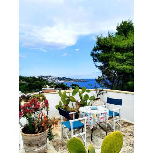 La Terrazza on Acquaviva
