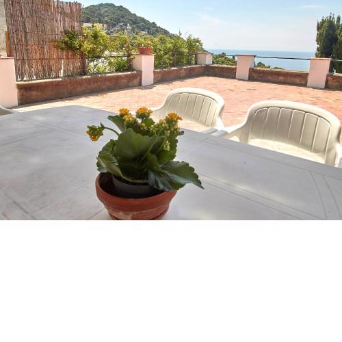 La Terrazza sul blu di Capri