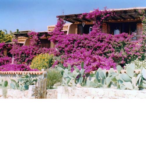 LA TERRAZZA SUL MARE - panoramic cottage overlooking sea and Caprera island in a quiet residential area - 150 mt from the sea