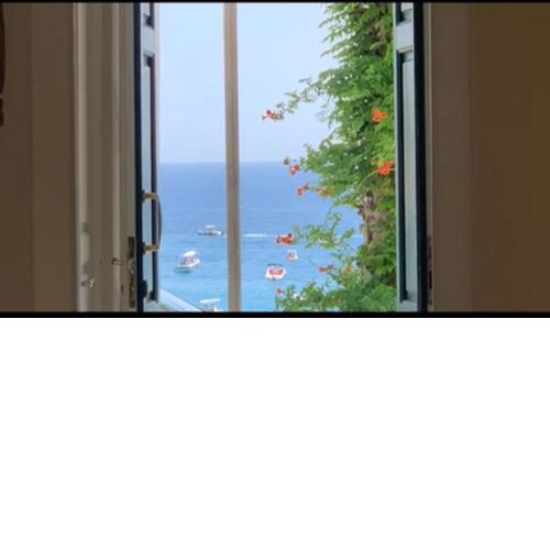 La Vela
