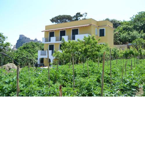 La Vigna Rooms - Ischia Ponte