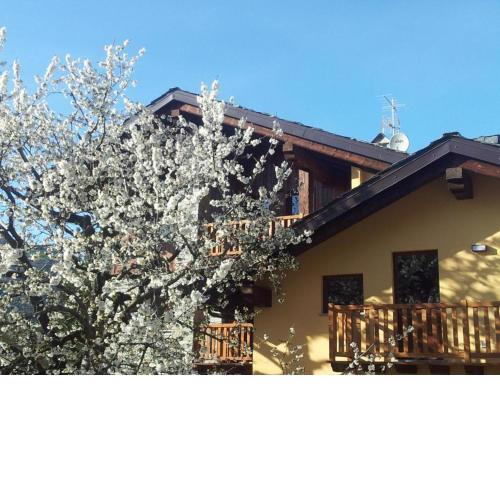 La Vigne de Papagran