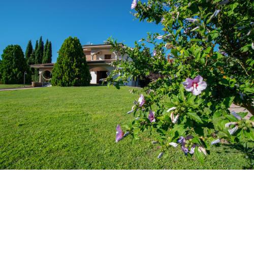 La Villa dei Tartufi - B&B