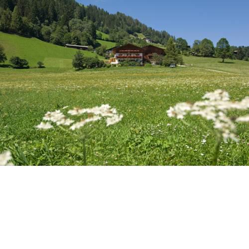 Ladestatthof