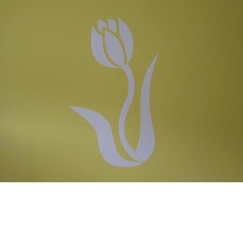 Lady Tulip - monolocale