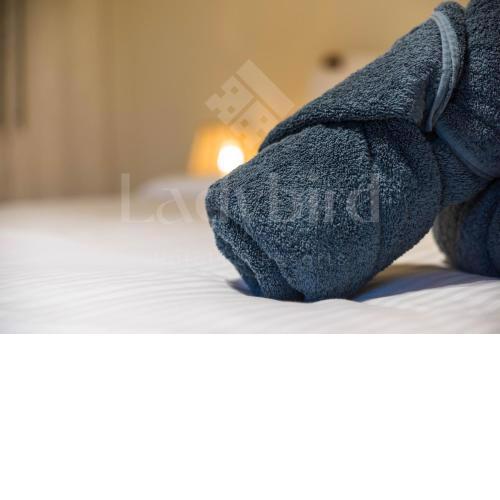 Ladybird Apartment - Azzurra 7B103