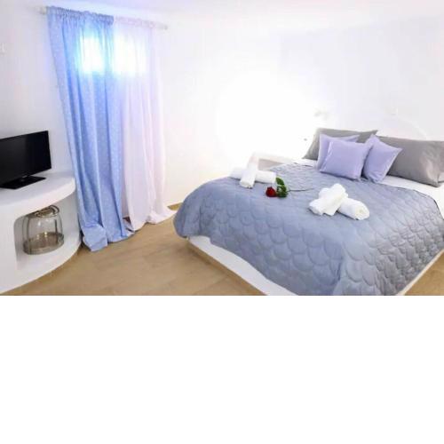 Lagoon Cosy Studio