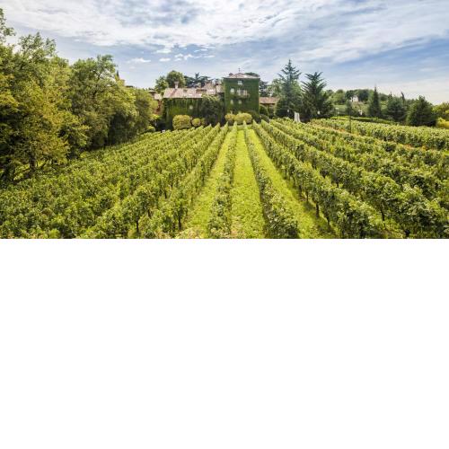 L'Albereta Relais & Chateaux