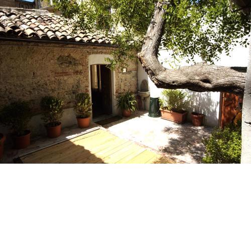 L'albero di Giuggiole
