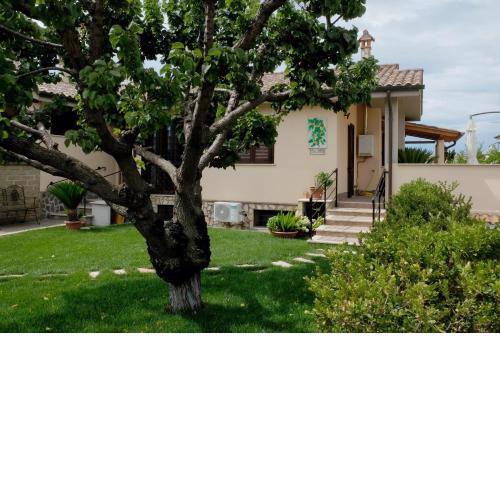L'Albicocco