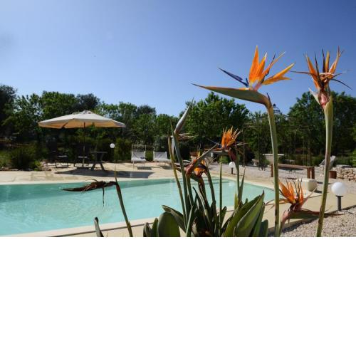 LAMIA TIPICA con PISCINA