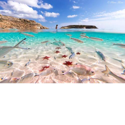 lampedusa mareblu sei