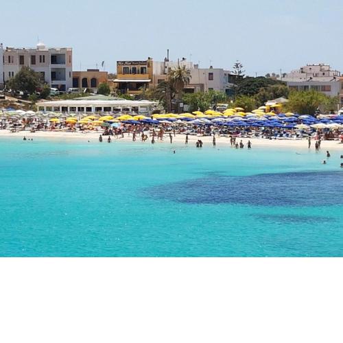 Lampedusa tre stella marina