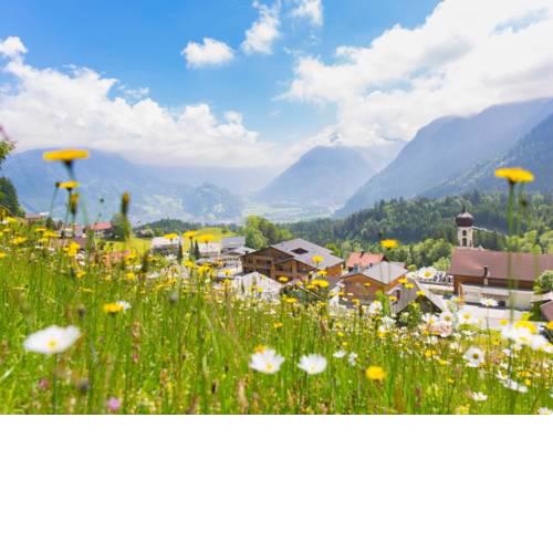 Landal Chalet Matin