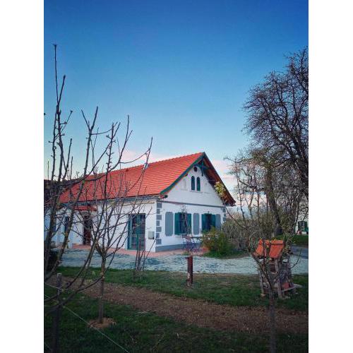 Landhaus Schaller im Südburgenland
