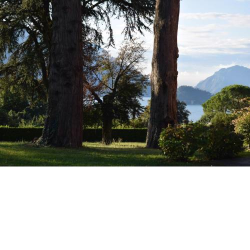 Landscapesilvia 1 Aria