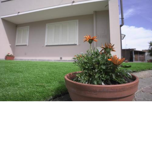 L'ANGOLO VERDE