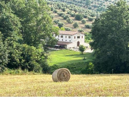 L’Antica Tenuta