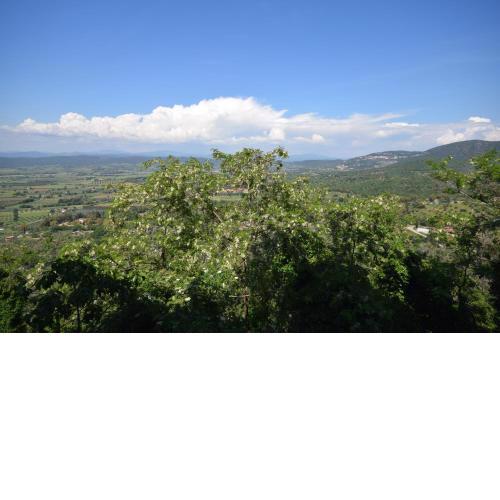 L'Antico Granaio
