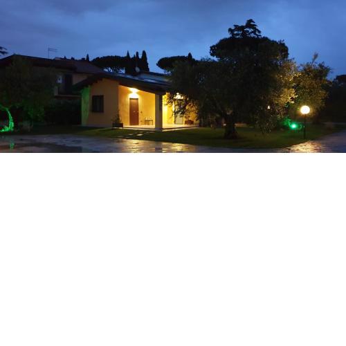 L'Antico Vigneto