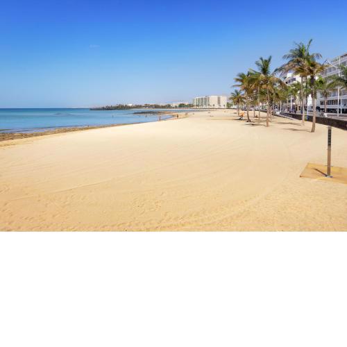 Lanzahost REEF XXI - Playa Reducto