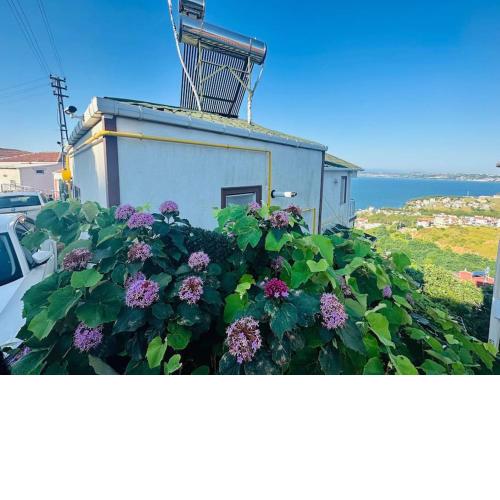 L’Apartement Manolya