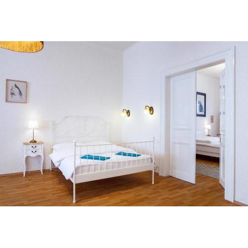Large 3 BDR APT in the heart of Prague