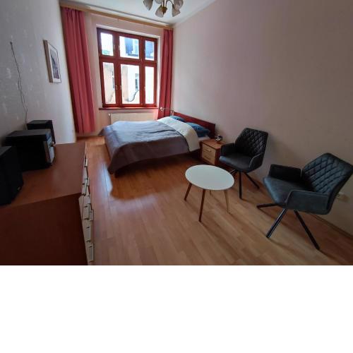 Large and cozy apartment in the center of Karlovy Vary