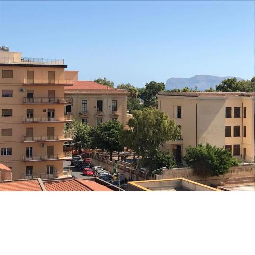 Large flat near Botanical Garden & Central Station