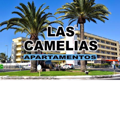 Las Camelias Apartments