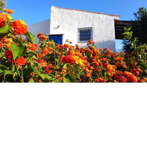 Las Casitas de Felipe