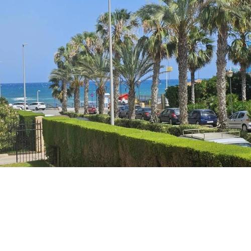 LAS OLAS BEACH 2