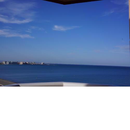 Las Palmeras