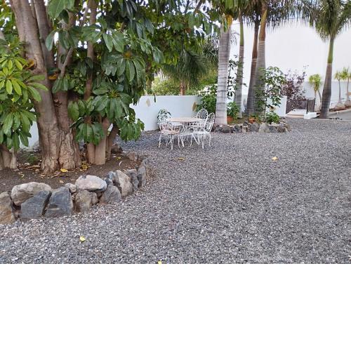 Las palmeras