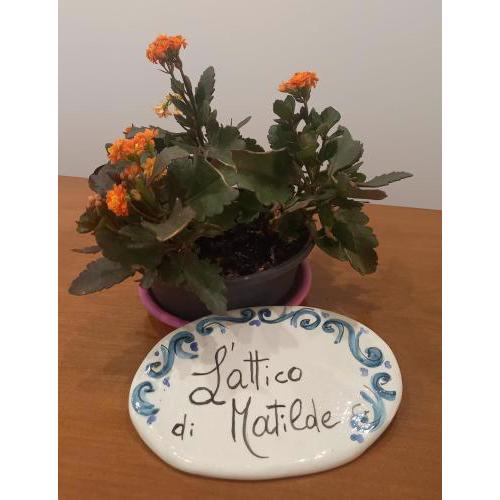 L'Attico di Matilde