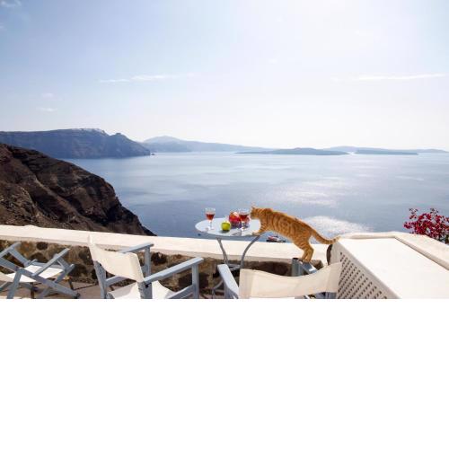 Lava Oia's