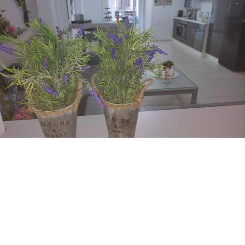Lavender Home