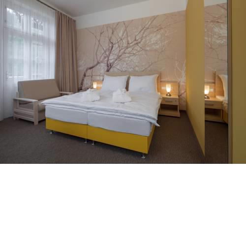 Lázeňský hotel Terra*** Superior