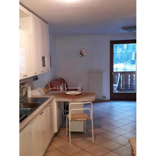 Le betulle - 022147-AT-050930
