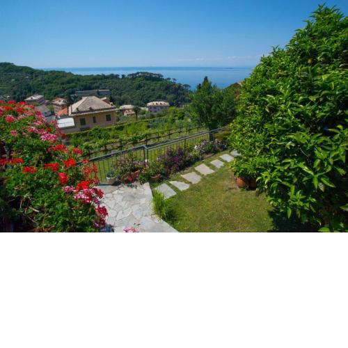 Le Clementine B&B