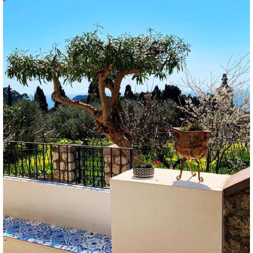 Le donne di Capri - Charming apartments in Capri