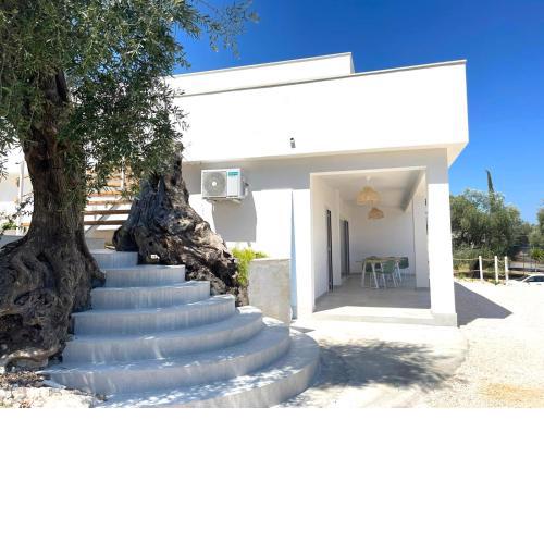 Le Fronde Vieste