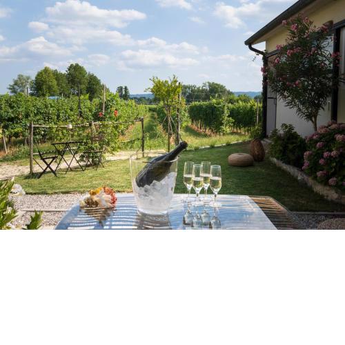 Le Vigne del Gallo