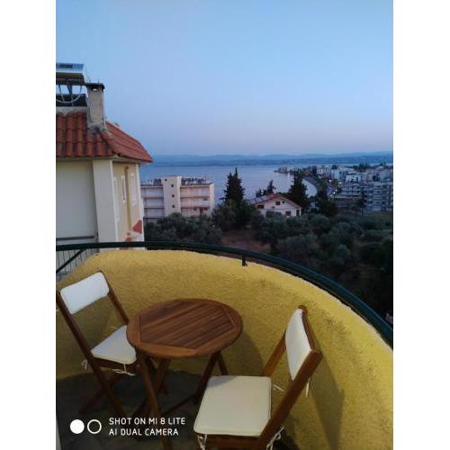 Lefkandi sea view