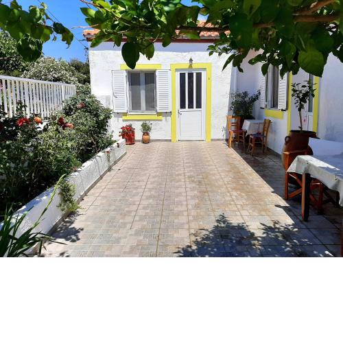 Lemon Garden 1