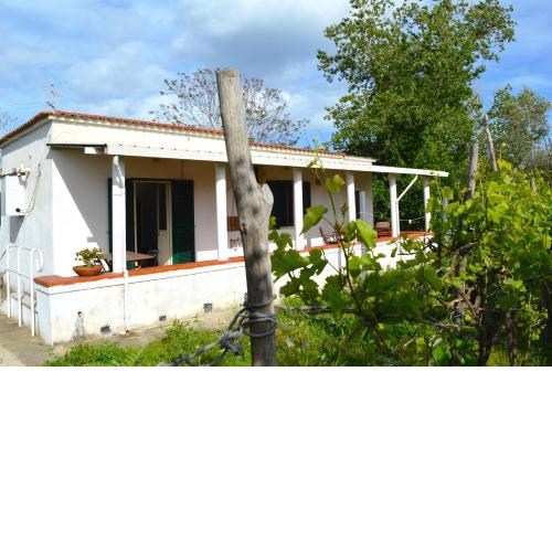 Lemon House - Near The Beach