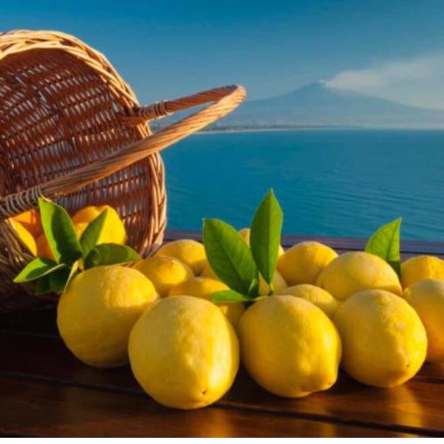 Lemon House a 300 m dal mare