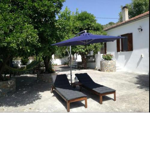 Lemon Tree and Olive Garden House